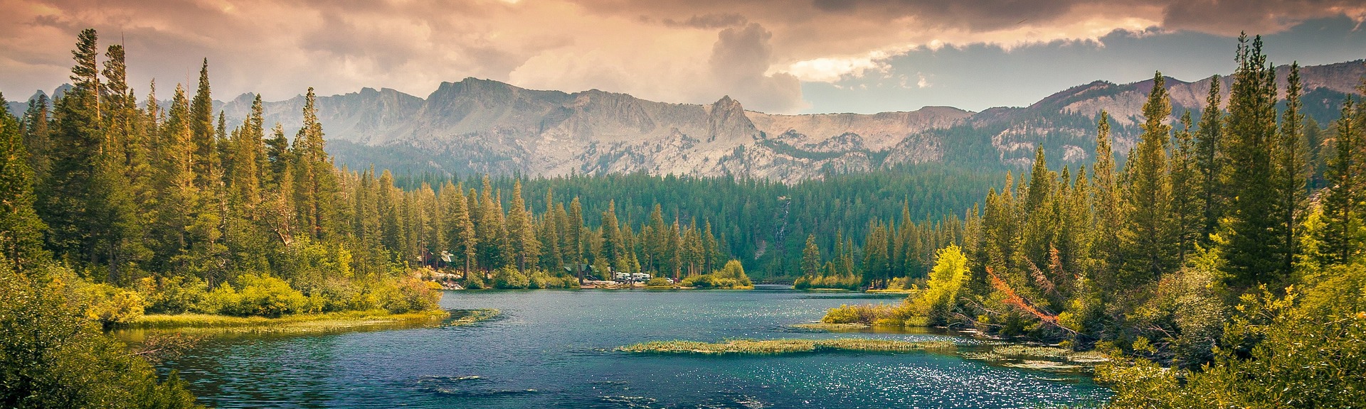 Charles Q. Takahashi